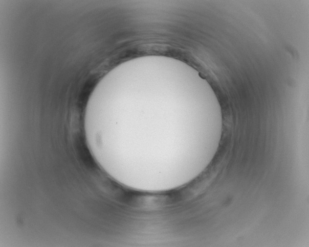 X0000115050323200911231159