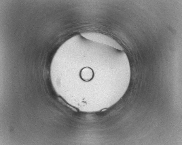 X0000115050324200911231159