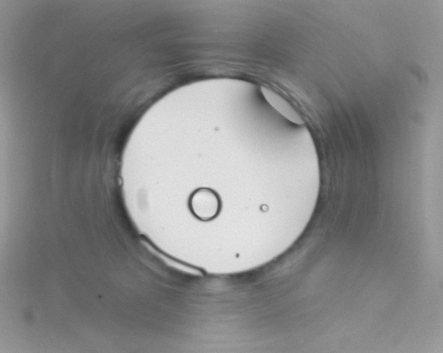 X0000115050325200911231159