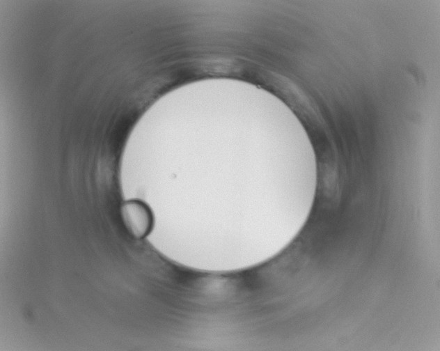 X0000115050326200911231159