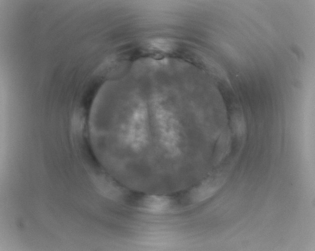 X0000115050328200911231159