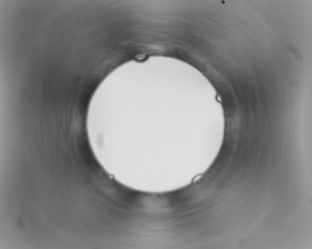 X0000115050331200911231159