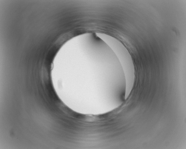 X0000115050333200911231159