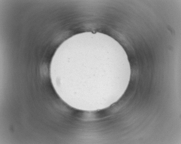 X0000115050335200911231159