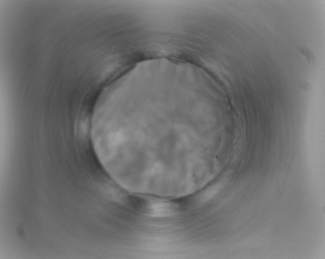 X0000115050336200911231158