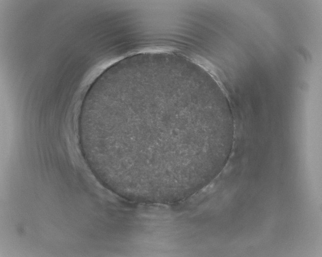 X0000115050337200911231158