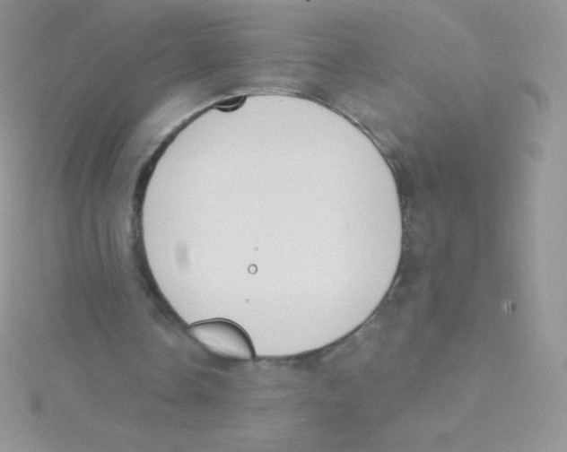 X0000115050338200911231158