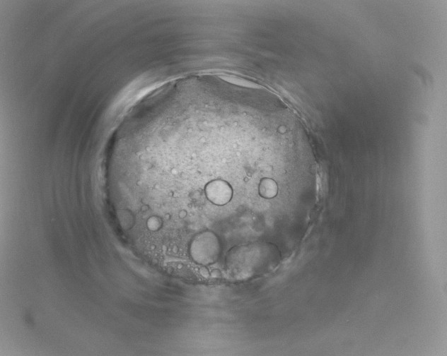 X0000115050339200911231158