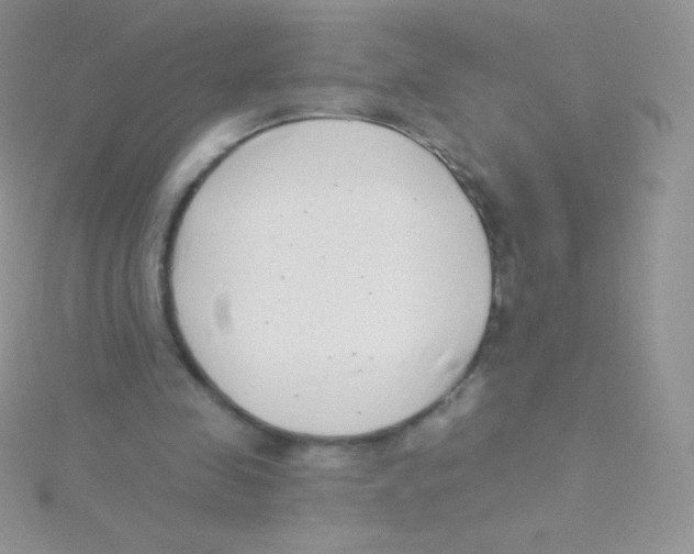 X0000115050341200911231158