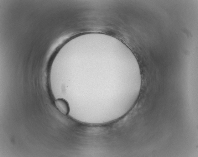 X0000115050342200911231158