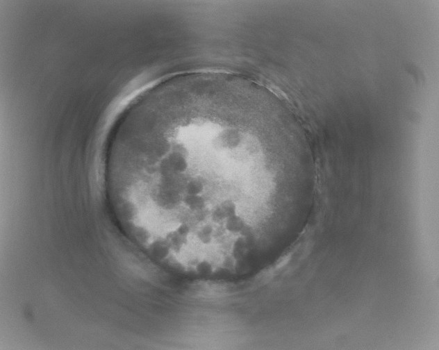 X0000115050343200911231158