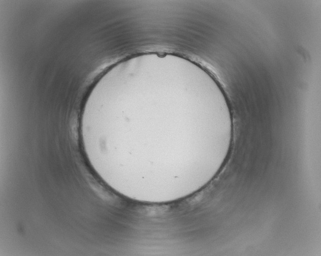 X0000115050345200911231158