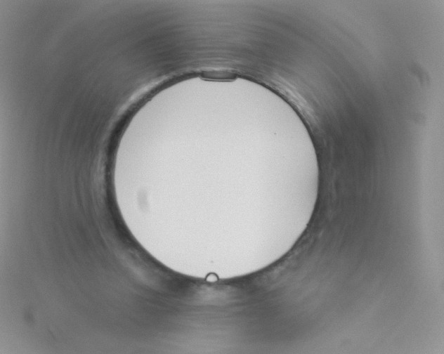 X0000115050346200911231158