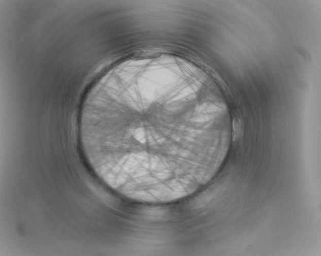 X0000115050349200911231158