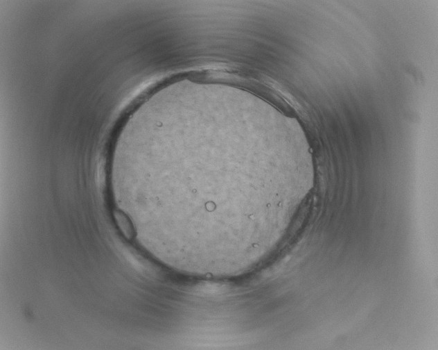 X0000115050350200911231158