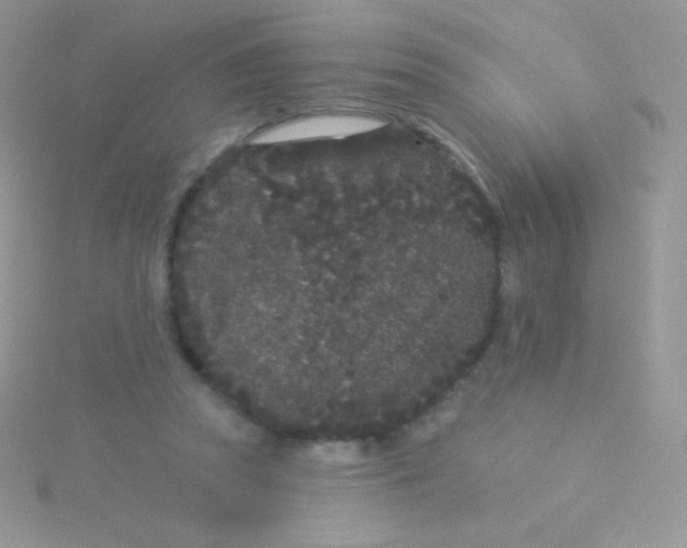 X0000115050353200911231158