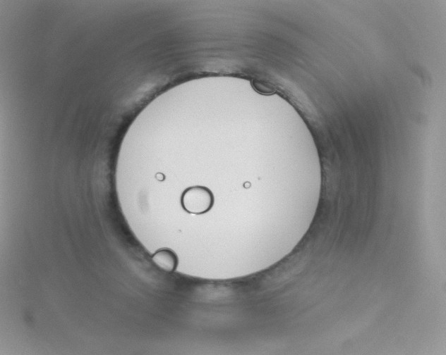 X0000115050354200911231158