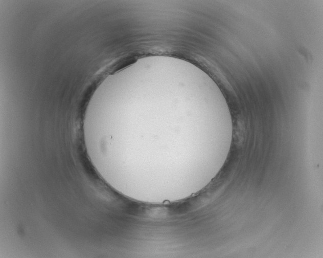 X0000115050355200911231158