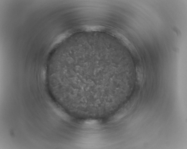 X0000115050357200911231158