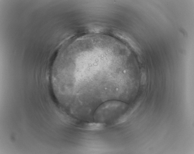 X0000115050363200911231158