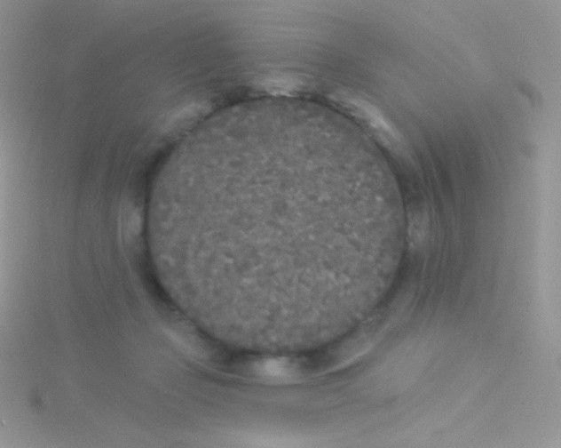 X0000115050365200911231158