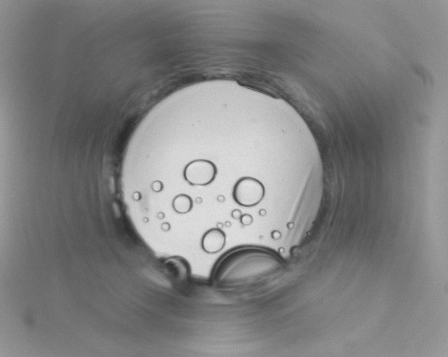 X0000115050366200911231158