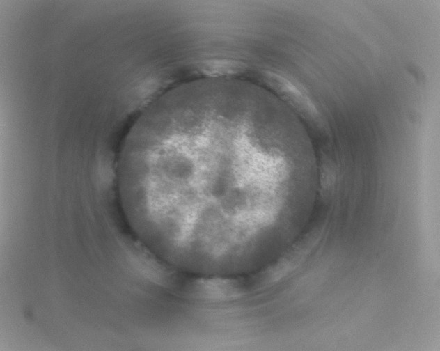 X0000115050367200911231158