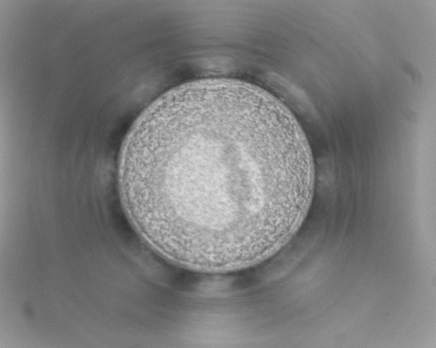 X0000115050369200911231158