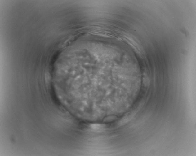 X0000115050371200911231158