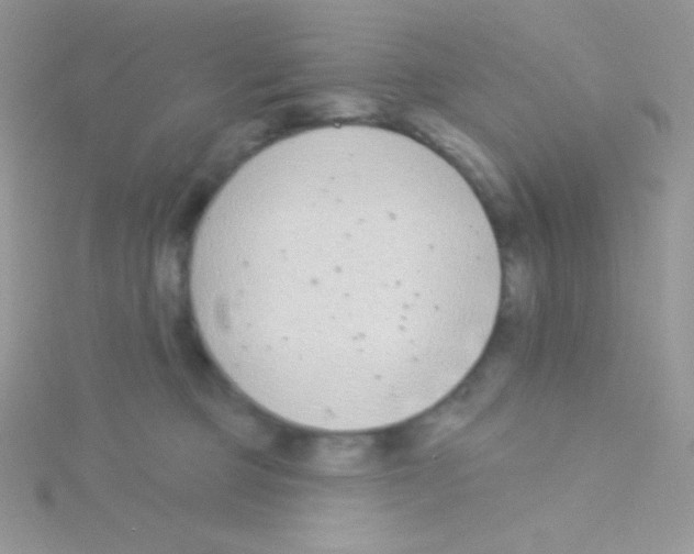 X0000115050373200911231158