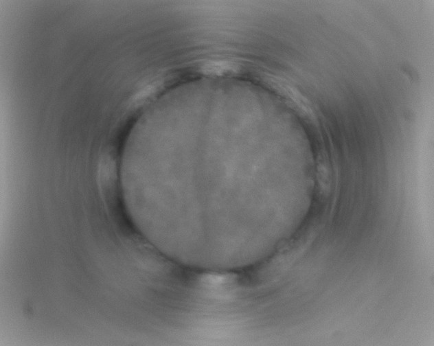 X0000115050375200911231158