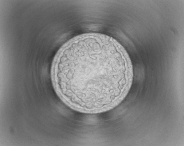 X0000115050377200911231158