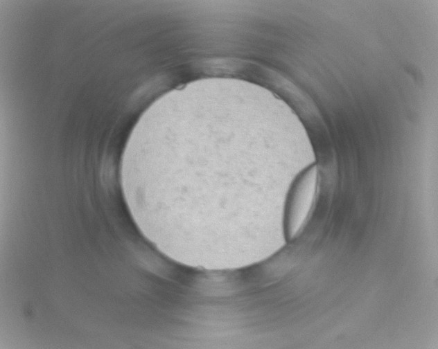 X0000115050381200911231158