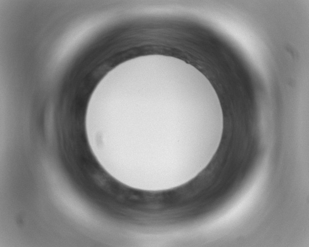 X0000115050382200911231158