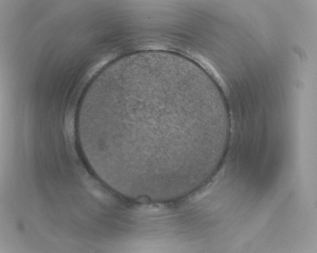 X0000115050386200911231158