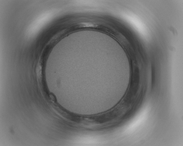 X0000115050387200911231158