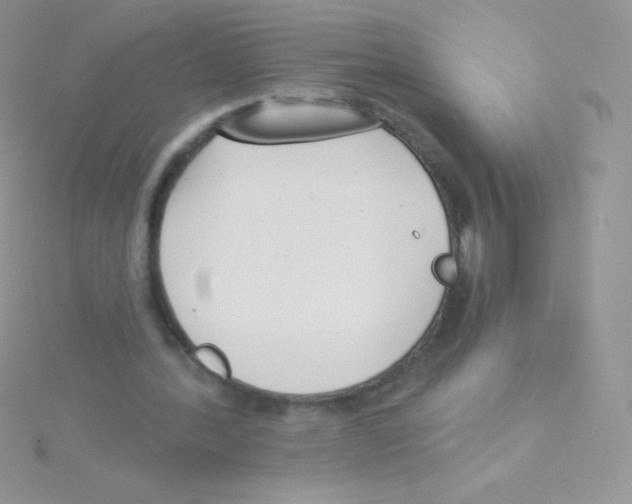 X0000115050388200911231158