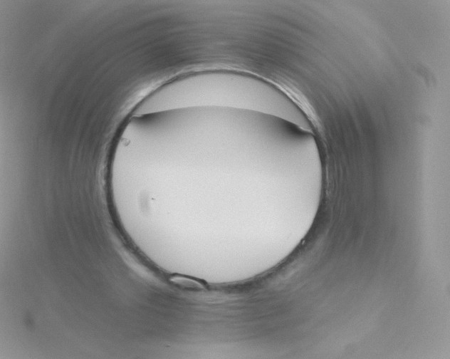 X0000115050389200911231158