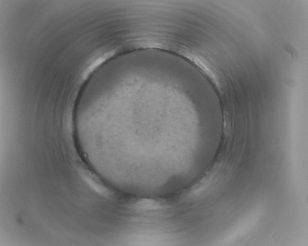 X0000115050390200911231158