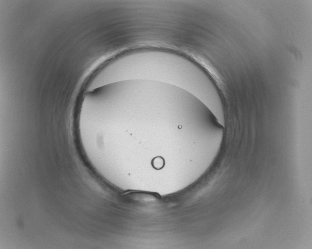 X0000115050391200911231158