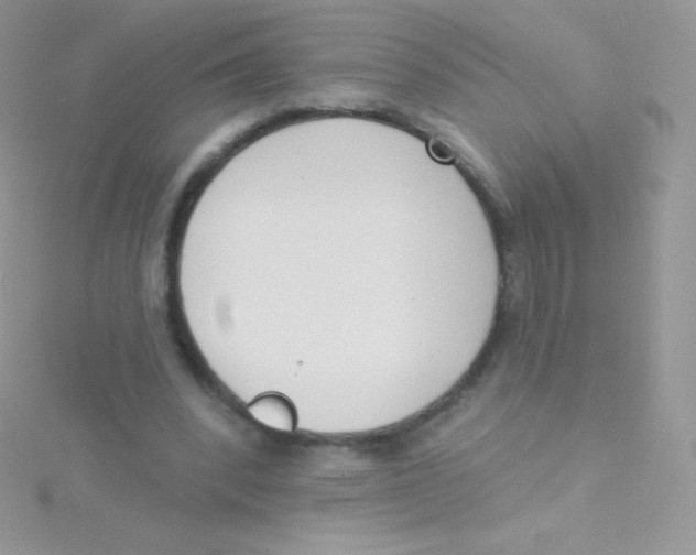 X0000115050392200911231158