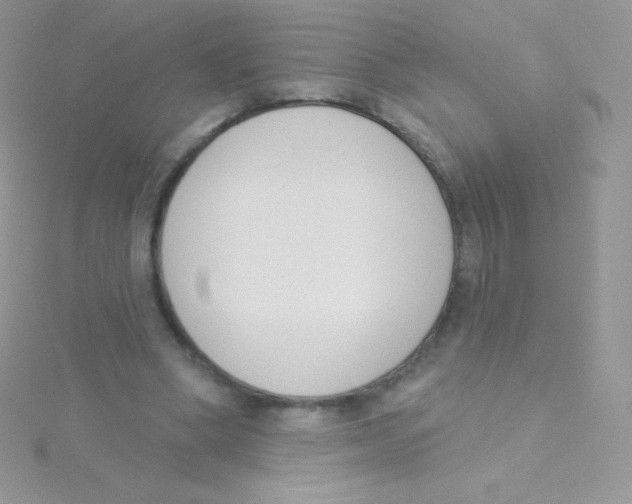 X0000115050394200911231158