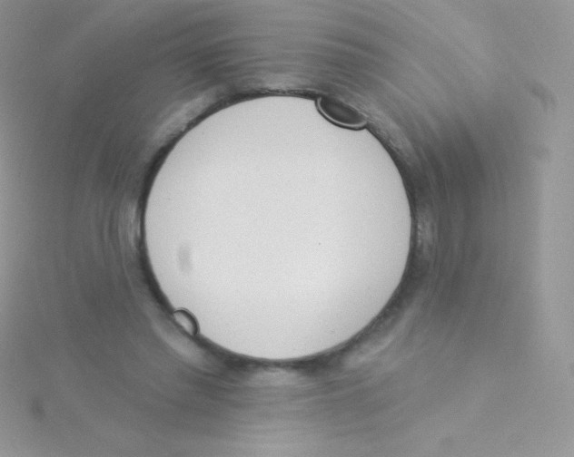 X0000115050397200911231158