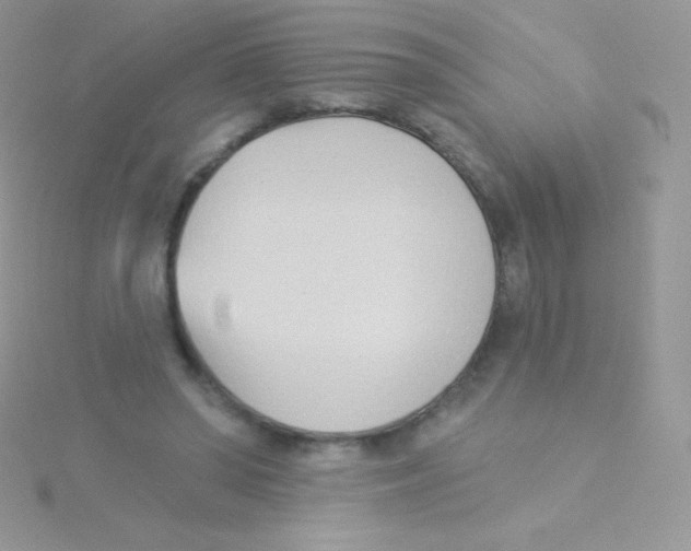 X0000115050398200911231158