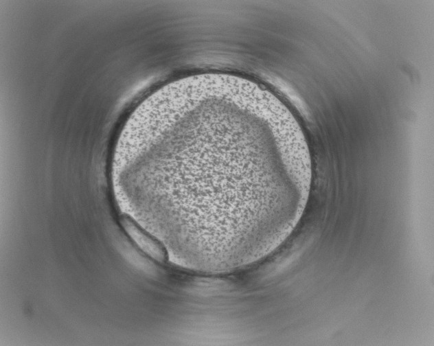 X0000115050399200911231158