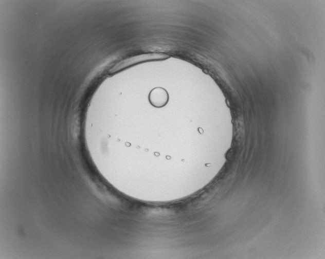 X0000115050400200911231158