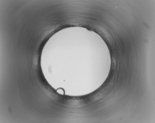 X0000115050404200911231158