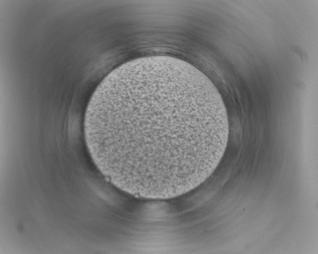 X0000115050410200911231158