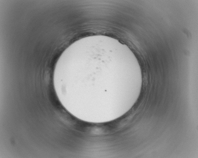 X0000115050412200911231158