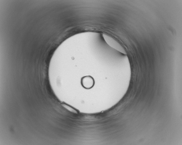 X0000115050413200911231158